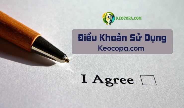 Điều khoản sử dụng