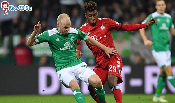 Soi kèo tỷ số bóng đá trận Bayern Munich vs Werder Bremen, 21/11/2020